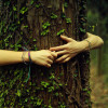 Tree hugging